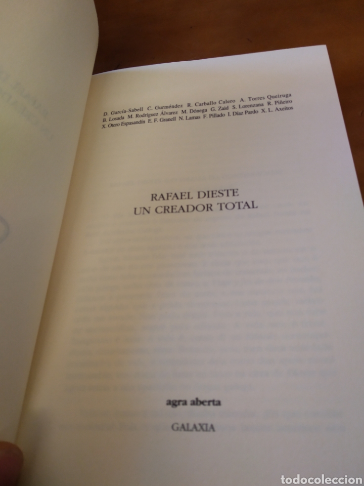 Libros de segunda mano: RAFAEL DIESTE. UN CREADOR TOTAL.VV.AA - Foto 2