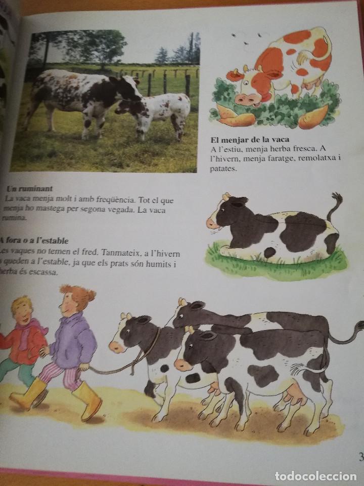 Libros de segunda mano: AIX&Iacute; VIUEN ELS ANIMALS A LA GRANJA (LIBERICA) - Foto 3