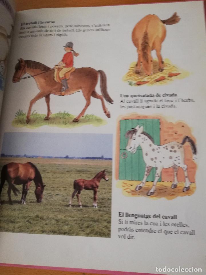 Libros de segunda mano: AIX&Iacute; VIUEN ELS ANIMALS A LA GRANJA (LIBERICA) - Foto 4