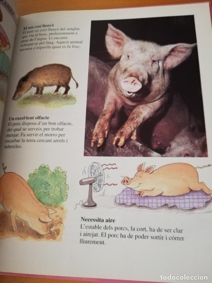 Libros de segunda mano: AIX&Iacute; VIUEN ELS ANIMALS A LA GRANJA (LIBERICA) - Foto 6