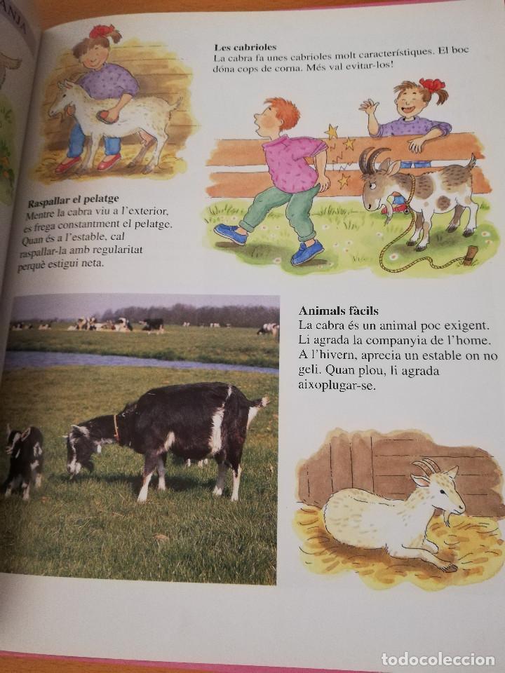 Libros de segunda mano: AIX&Iacute; VIUEN ELS ANIMALS A LA GRANJA (LIBERICA) - Foto 7