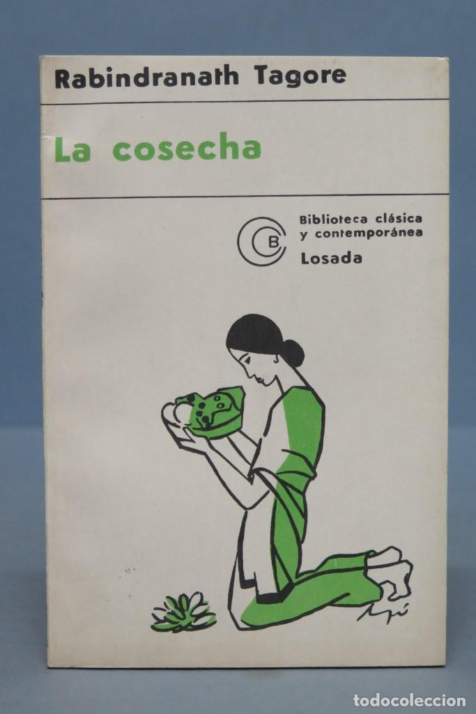 Libros de segunda mano: LA COSECHA. RABINDRANATH TAGORE. ED. LOSADA - Foto 1