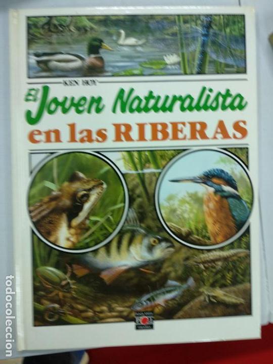 Libros de segunda mano: EL JOVEN NATURALISTA EN LAS RIBERAS - HOY, KEN - Foto 1