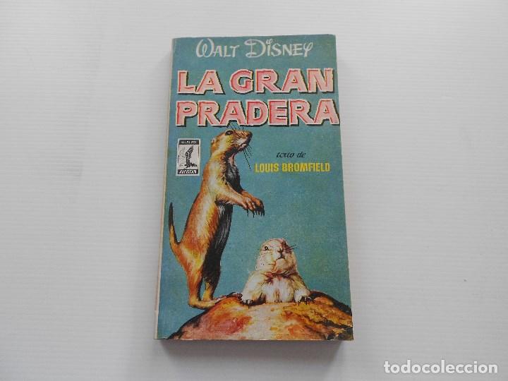 Libros de segunda mano: la gran pradera walt disney, 1957 - Foto 1