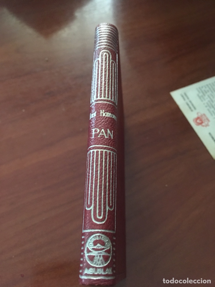 Libros de segunda mano: Libro crisol knut hamsun pan n&uacute;mero 318 - Foto 1