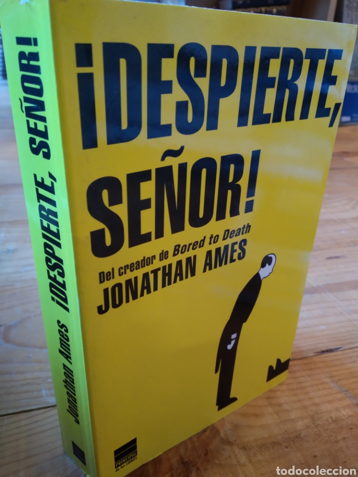 Libros de segunda mano: &iexcl;DESPIERTE, SE&Ntilde;OR! JONATHAN AMES. #1982 - Foto 1
