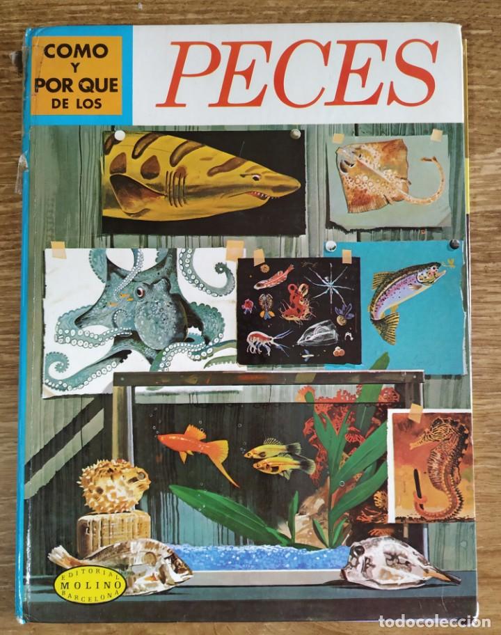 Libros de segunda mano: C&oacute;mo y por qu&eacute; de Los Peces (1970) Editorial Molino - Foto 1
