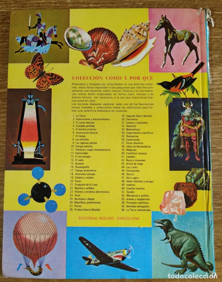 Libros de segunda mano: C&oacute;mo y por qu&eacute; de Los Peces (1970) Editorial Molino - Foto 2