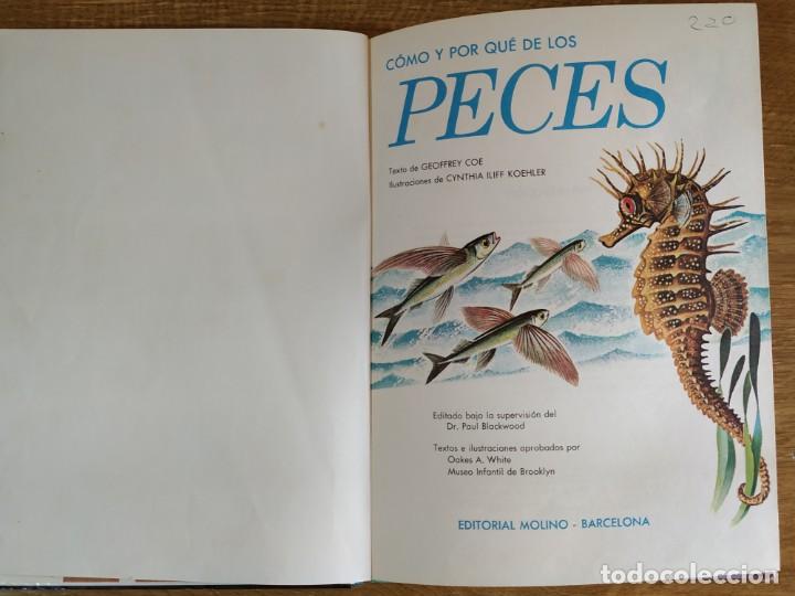 Libros de segunda mano: C&oacute;mo y por qu&eacute; de Los Peces (1970) Editorial Molino - Foto 4