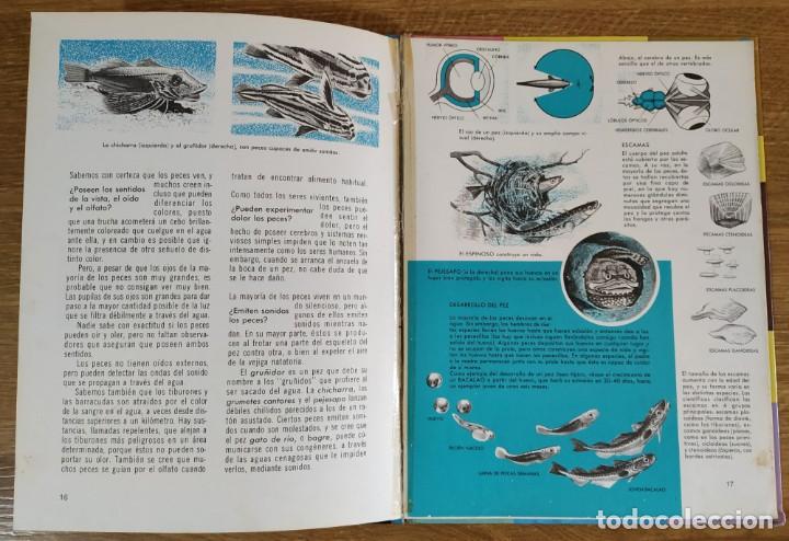 Libros de segunda mano: C&oacute;mo y por qu&eacute; de Los Peces (1970) Editorial Molino - Foto 7
