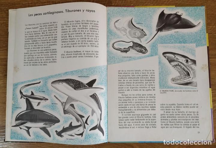 Libros de segunda mano: C&oacute;mo y por qu&eacute; de Los Peces (1970) Editorial Molino - Foto 8