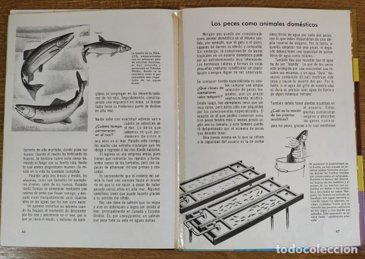 Libros de segunda mano: C&oacute;mo y por qu&eacute; de Los Peces (1970) Editorial Molino - Foto 9