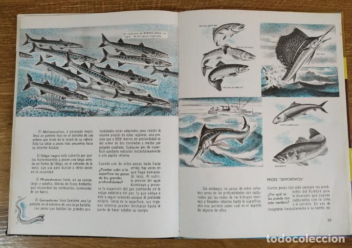 Libros de segunda mano: C&oacute;mo y por qu&eacute; de Los Peces (1970) Editorial Molino - Foto 10