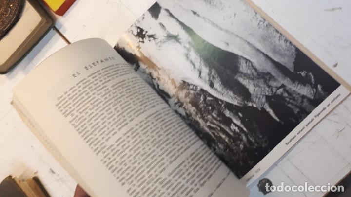 Libros de segunda mano: La Cueva de Nerja, Sime&oacute;n Gim&eacute;nez Reyna. 1964 - Foto 13
