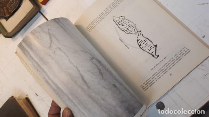 Libros de segunda mano: La Cueva de Nerja, Sime&oacute;n Gim&eacute;nez Reyna. 1964 - Foto 14
