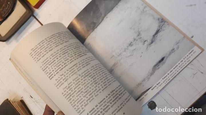 Libros de segunda mano: La Cueva de Nerja, Sime&oacute;n Gim&eacute;nez Reyna. 1964 - Foto 15
