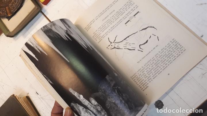 Libros de segunda mano: La Cueva de Nerja, Sime&oacute;n Gim&eacute;nez Reyna. 1964 - Foto 16