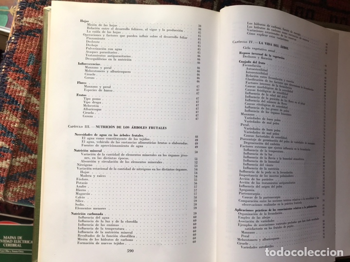 Libros de segunda mano: Fruticultura. M. Coutanceau - Foto 5
