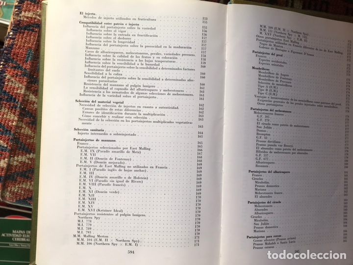 Libros de segunda mano: Fruticultura. M. Coutanceau - Foto 7