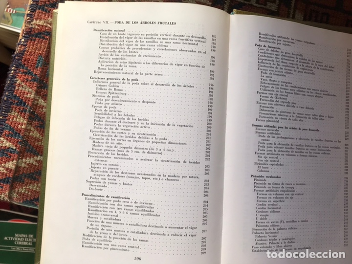 Libros de segunda mano: Fruticultura. M. Coutanceau - Foto 8