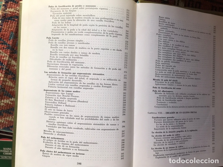 Libros de segunda mano: Fruticultura. M. Coutanceau - Foto 9
