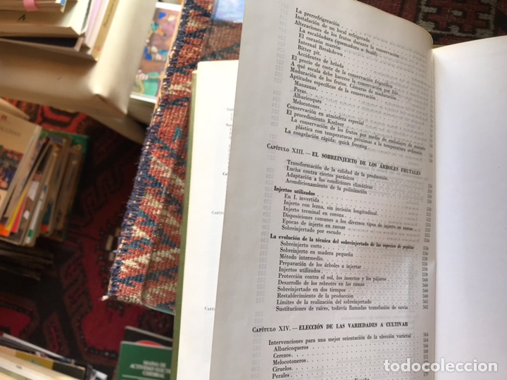 Libros de segunda mano: Fruticultura. M. Coutanceau - Foto 14