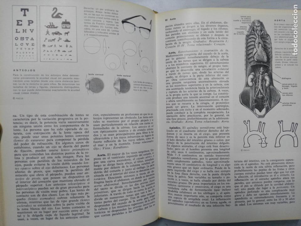 Libros de segunda mano: EL HOMBRE - FOCUS - Foto 6