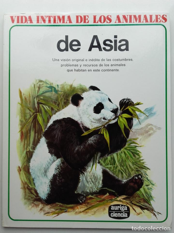 Vida intima de los animales de asia nº 6 - auri - Vendido en Venta