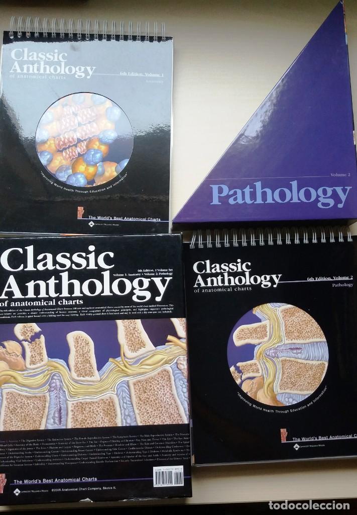Classic Anthology Of Anatomical Charts