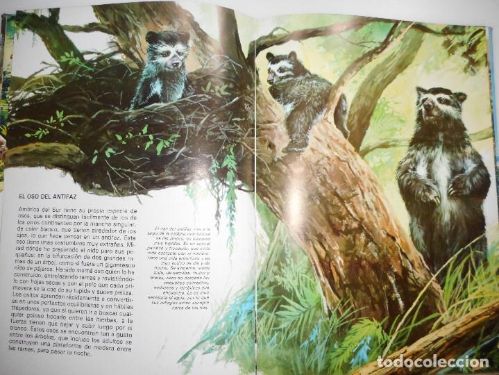Libros de segunda mano: Animales de Monta&ntilde;a     Y93763 - Foto 2