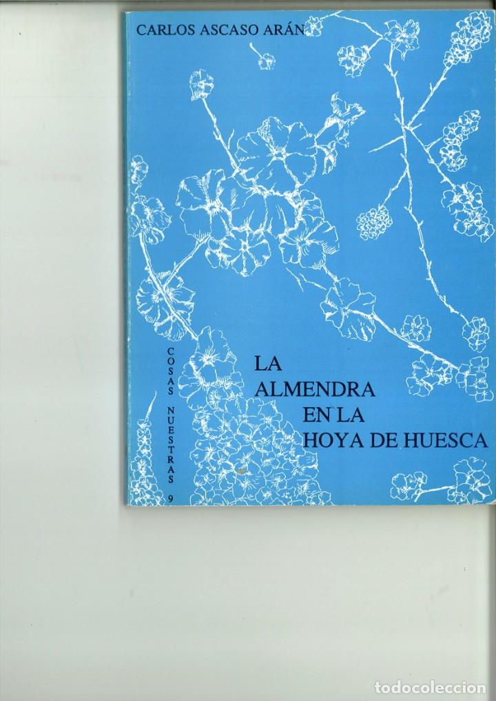 Libros de segunda mano: LA ALMENDRA EN LA HOYA DE HUESCA. Carlos Ascaso Ar&aacute;n - Foto 1