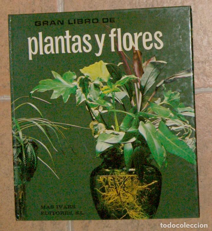 Libros de segunda mano: Gran libro de plantas y flores - Foto 1