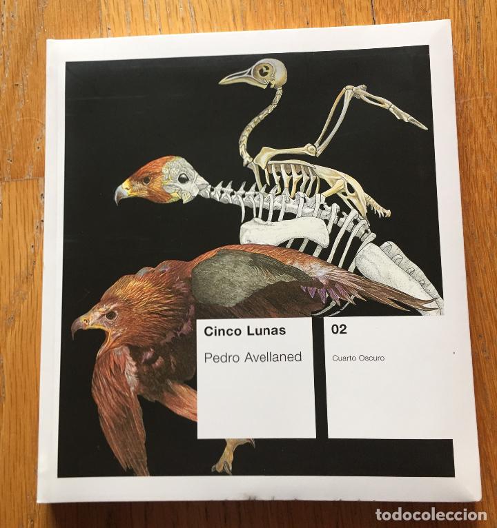 Libros de segunda mano: CINCO LUNAS, pedro Avellaned - Foto 1