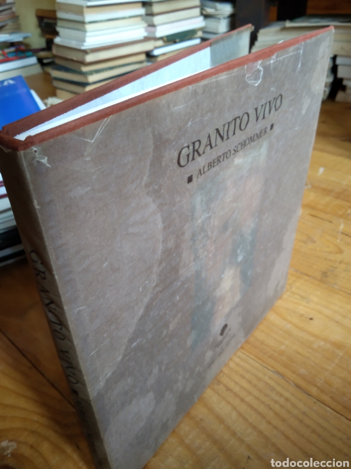 Libros de segunda mano: GRANITO VIVO. ALBERTO SCHOMMER #1945 - Foto 1