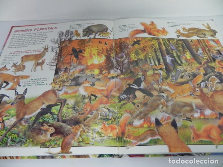 Libros de segunda mano: ANIMALS EN PERILL - SUSAETA EDICIONES (EN CATAL&Aacute;N) - Foto 4