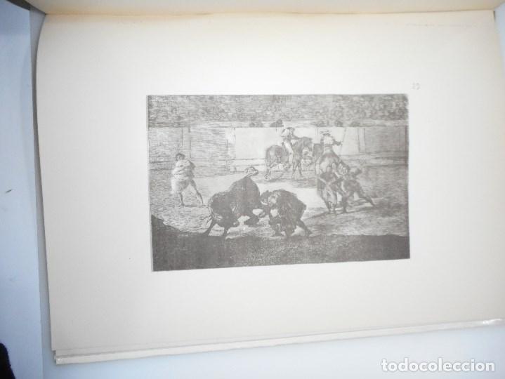 Libros de segunda mano: Goya. La tauromaqu&iacute;a   Y93949 - Foto 3