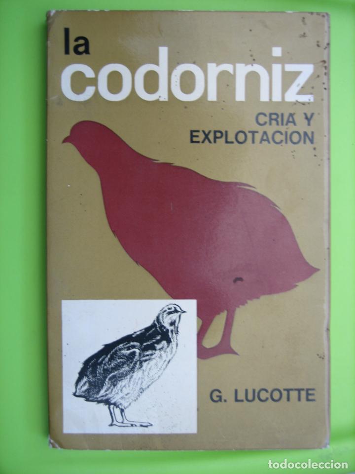 Libros de segunda mano: Antiguo libro sobre la cr&iacute;a y explotaci&oacute;n de Codorniz 1979 - Foto 1