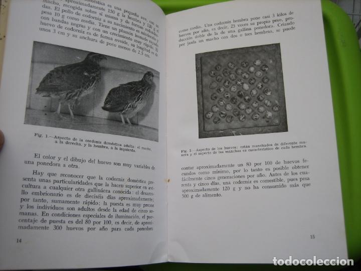 Libros de segunda mano: Antiguo libro sobre la cr&iacute;a y explotaci&oacute;n de Codorniz 1979 - Foto 8