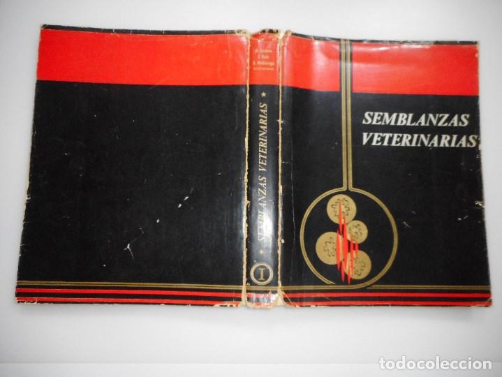 Libros de segunda mano: Semblanzas veterinarias(Vol. I)       Y94013 - Foto 1