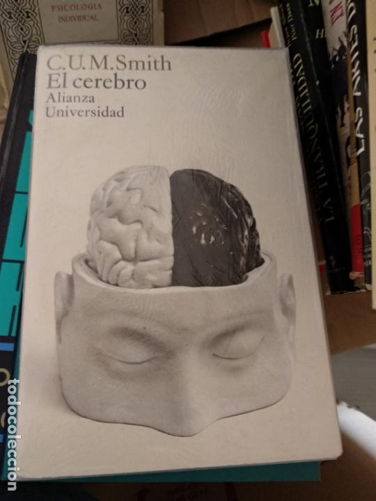 Libros de segunda mano: EL CEREBRO - C. U. M. SMITH - Foto 1