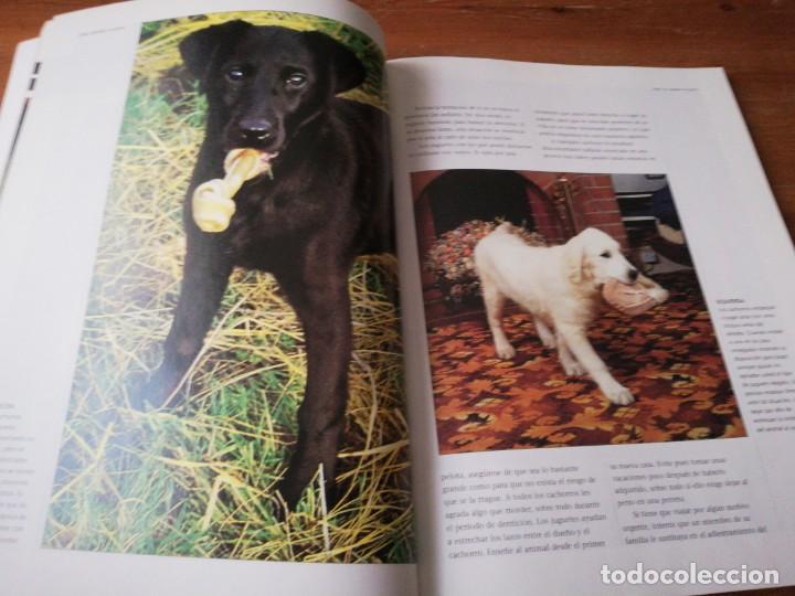 Libros de segunda mano: C&oacute;mo adiestrar a su perro. - Foto 4