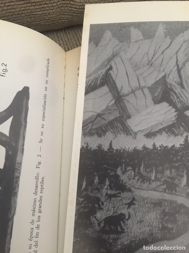 Libros de segunda mano: Mu, fuerzas c&oacute;smicas - Foto 3