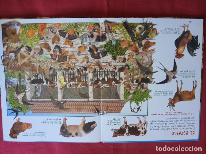 Libros de segunda mano: BUSCA LOS ANIMALES DE LA GRANJA. Susaeta Ediciones - Foto 3