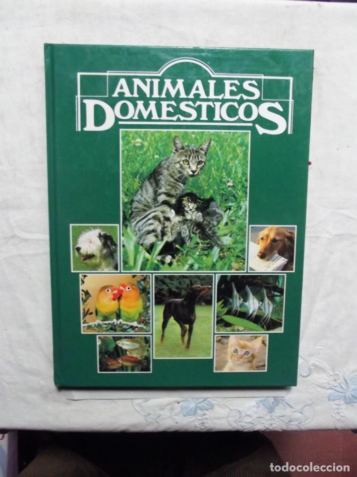 Libros de segunda mano: ANIMALES DOMESTICOS