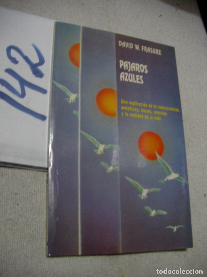 Libros de segunda mano: PAJAROS AZULES - DAVID FRASORE - Foto 1