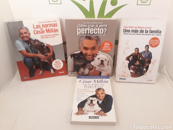 Libros de segunda mano: Lote de libros de Cesar Millan. - Foto 1