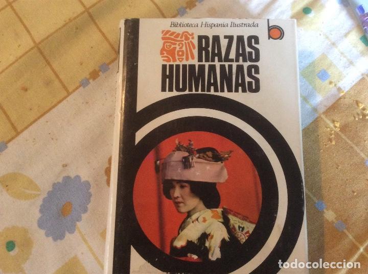 Libros de segunda mano: RAZAS HUMANAS. BIBLIOTECA HISPANIA. Autor: AUGUSTO PANYELLA - Foto 1