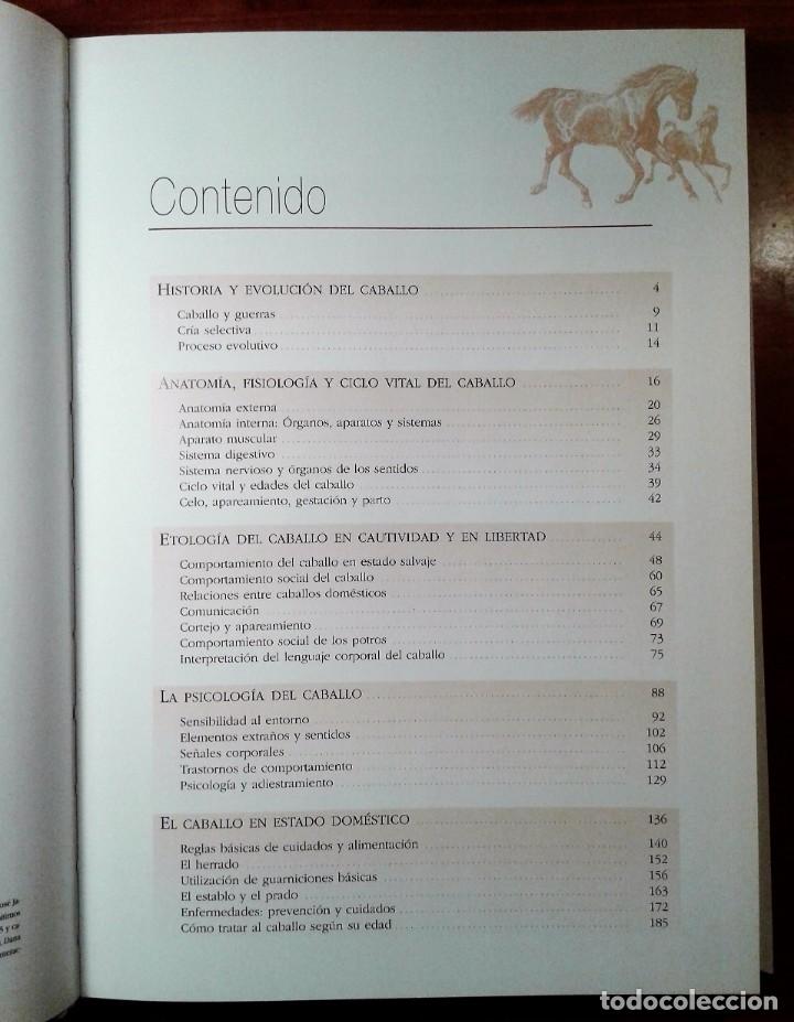 Libros de segunda mano: LIBRO. ENTENDER, EDUCAR Y CUIDAR A TU CABALLO. LUZ AGUILAR. - Foto 8