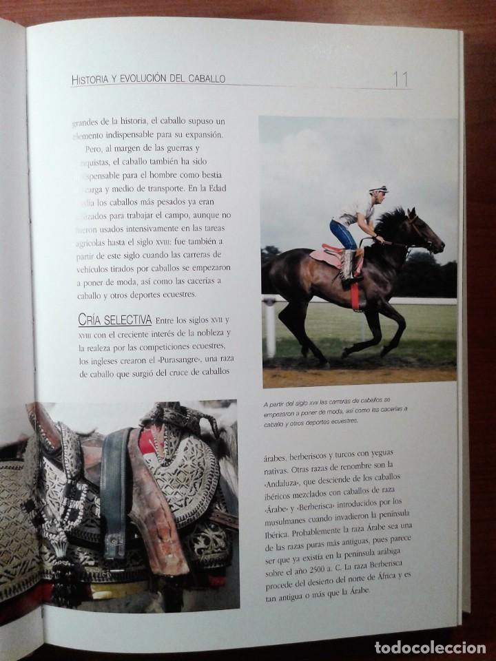 Libros de segunda mano: LIBRO. ENTENDER, EDUCAR Y CUIDAR A TU CABALLO. LUZ AGUILAR. - Foto 9