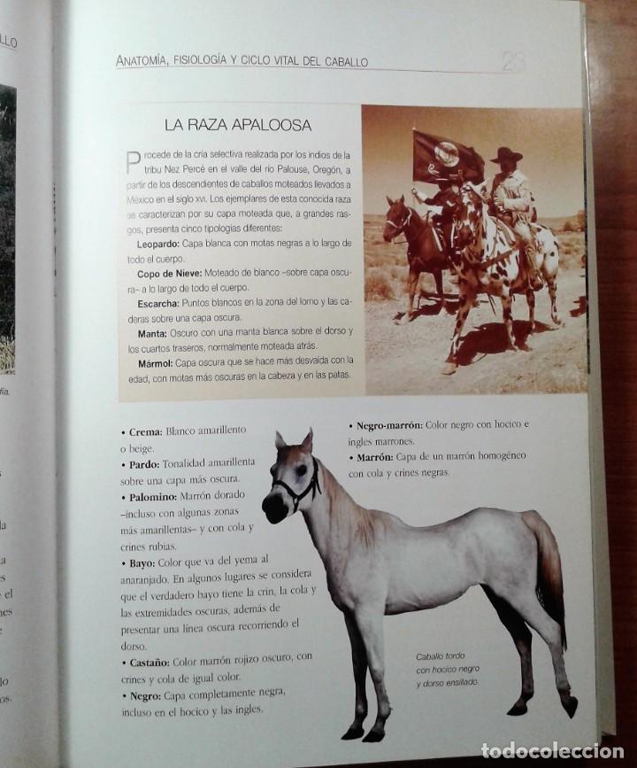 Libros de segunda mano: LIBRO. ENTENDER, EDUCAR Y CUIDAR A TU CABALLO. LUZ AGUILAR. - Foto 10